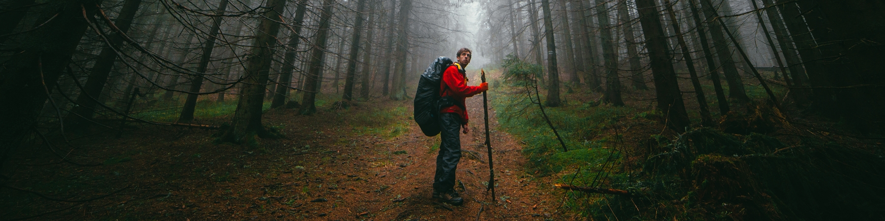 Hiking in the Land Between the Lakes