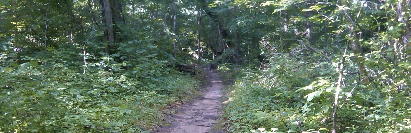 North South Trail