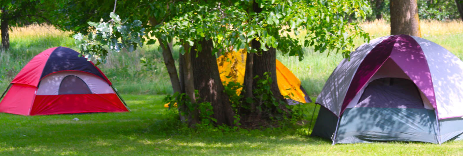 Camping
