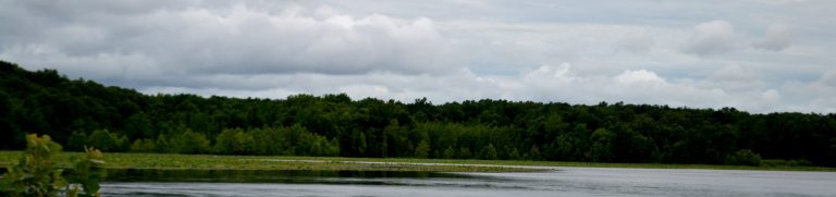 Sportsman’s Anchor Resort And Marina